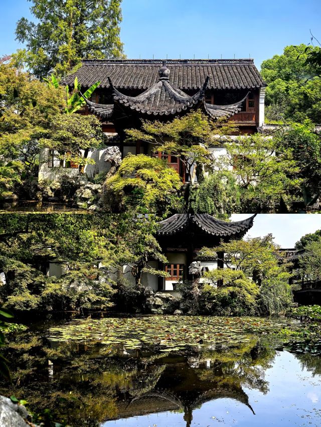 曲院風荷，夏日杭州嘅清涼秘境