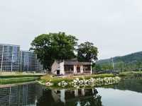 縉雲城市綠道，集環保、休閒、運動於一體的綠色廊道