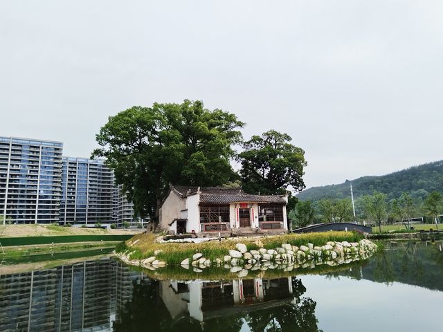 縉雲城市綠道，集環保、休閒、運動於一體的綠色廊道