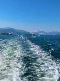 香港塔門島：隱世海上桃源