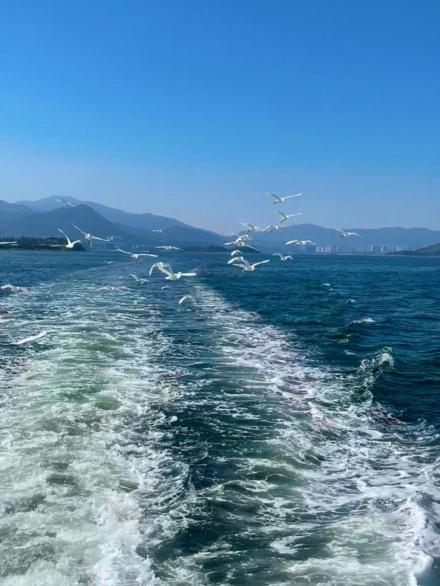 香港塔門島：隱世海上桃源