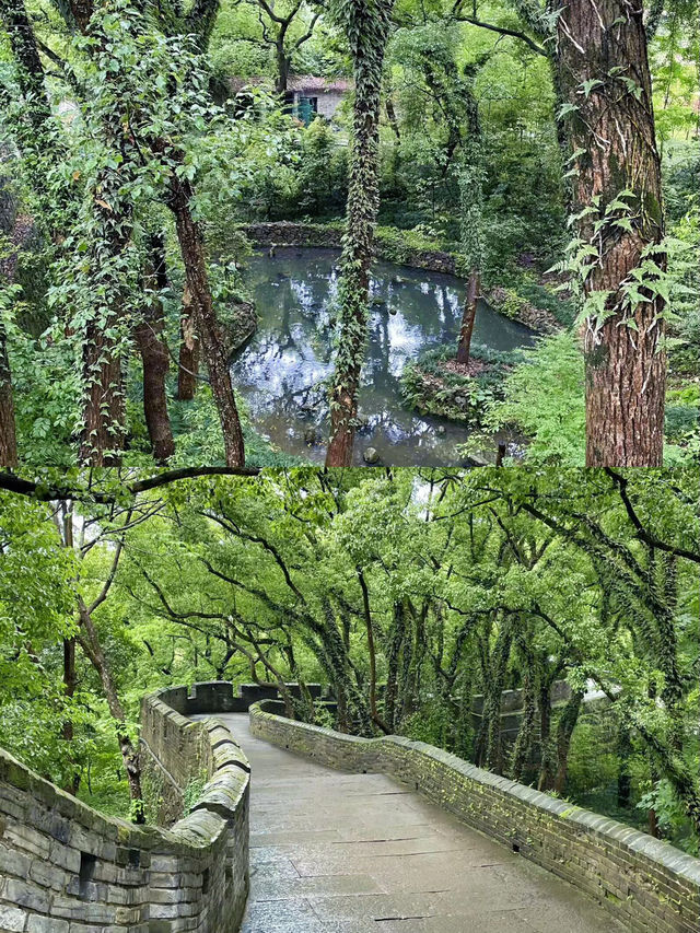 大學生，適合窮遊嘅一個小眾城市