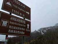 Amazing weekend getaway to Jeju Island, South Korea! 