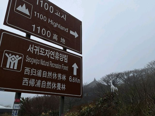Amazing weekend getaway to Jeju Island, South Korea! 