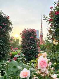 東京芝公園超詳細交通攻略，東京塔最佳打卡地 