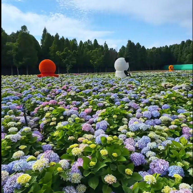 這個季節最不能錯過的公園！沒有之一😭！直接被美到跺腳～