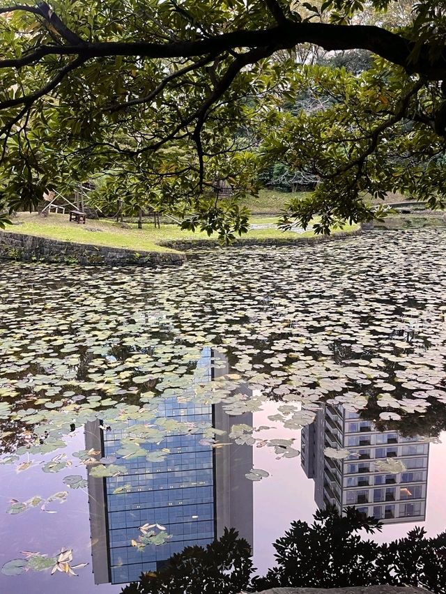 東京小石川後樂園交通攻略：輕鬆抵達江戶風情的日式庭園  