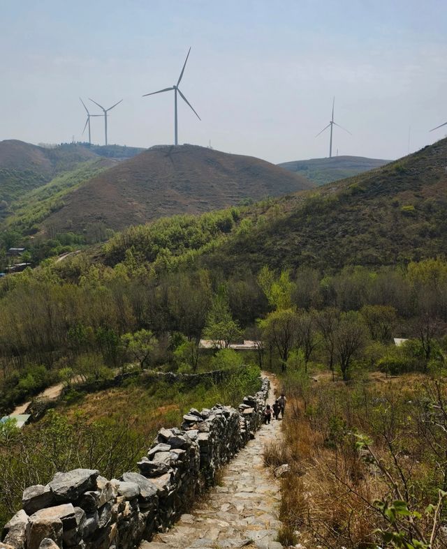 鎮平楚長城遺址