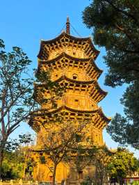 泉州開元寺！今次影到迷人日落