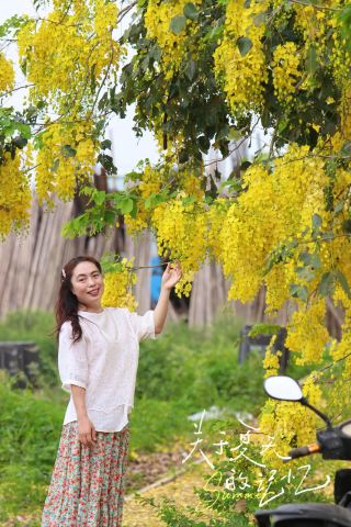 Zhongshan Port Sausage Flower｜Spring's Limited Romance Hidden by the Roadside