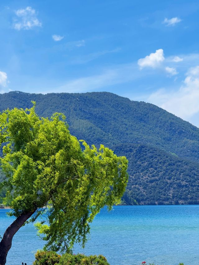 呢間瀘沽湖酒店直接令我嘅旅行幸福感爆棚！