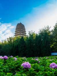 五一假期旅遊攻略：鄭州及周邊五日深度遊