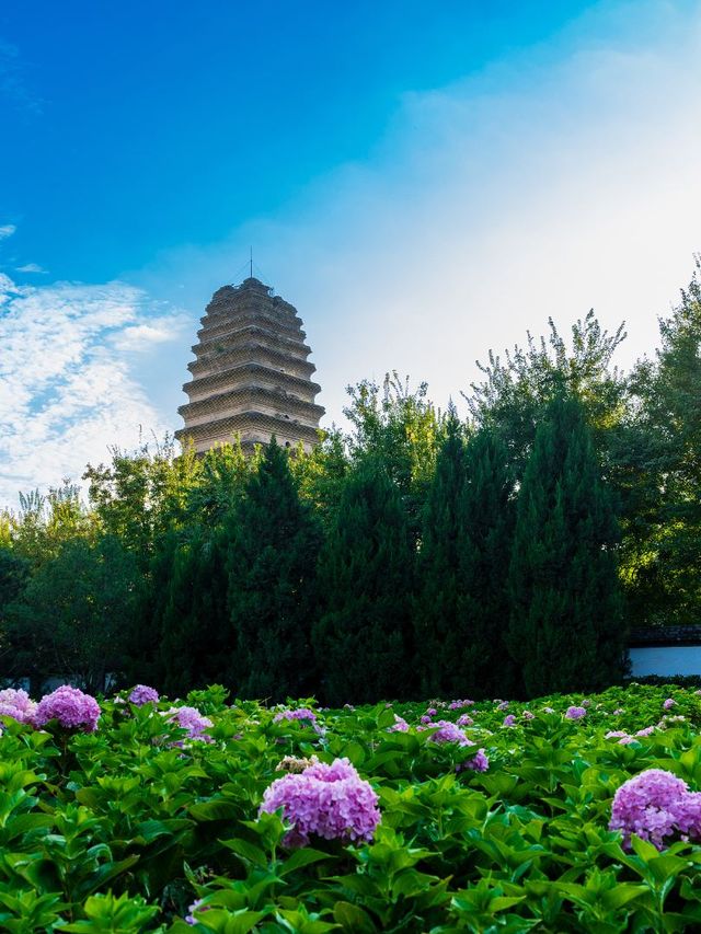 五一假期旅遊攻略：鄭州及周邊五日深度遊