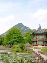 韓國五日深度遊，老友記的正確打開方式！