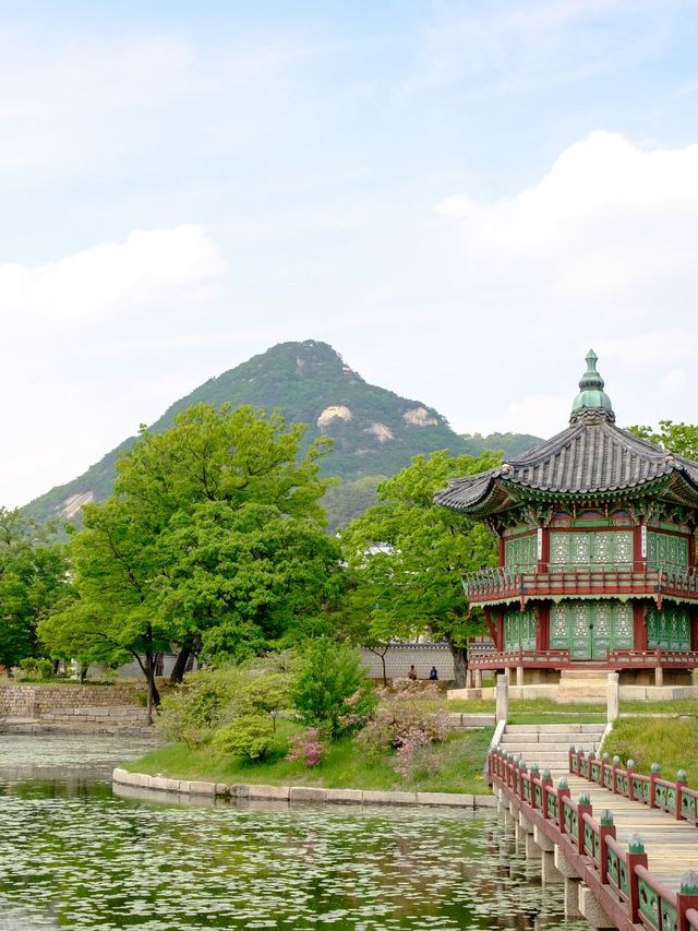 韓國五日深度遊，老友記的正確打開方式！