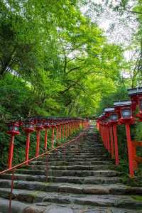 7天暢遊日本 超詳細攻略等你來拿
