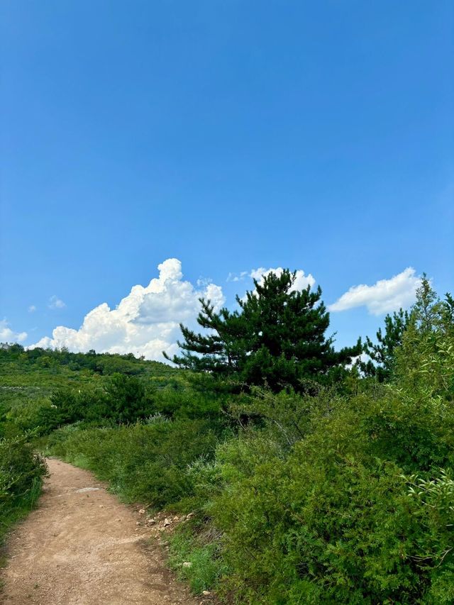 崛圍山超詳細旅遊攻略：領略自然與人文之美