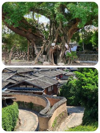 Songkou Ancient Town: A Millennium of Vibrant Life, Fuzhou's Hidden Gem
