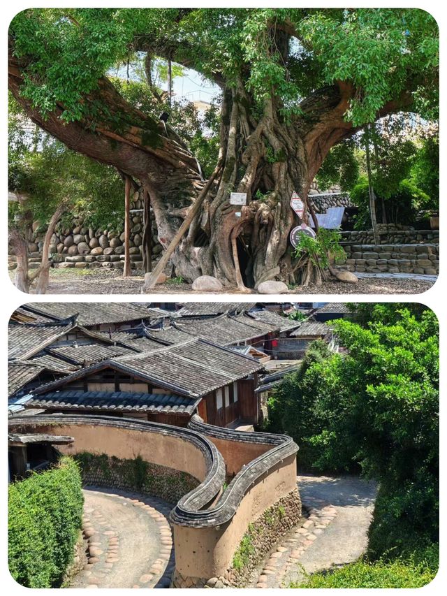 嵩口古鎮千年煙火氣 福州小眾寶藏地