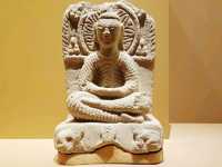 Silk Road Secrets for Free: When & Where to Visit Lanzhou’s Museums