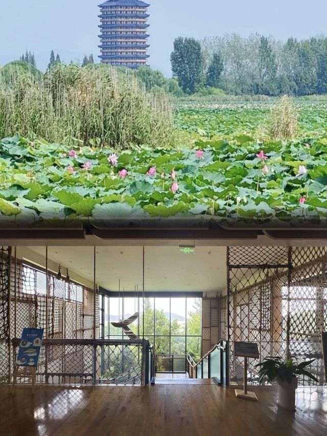 上海 1小時直達！蘇州太湖治癒系週末攻略