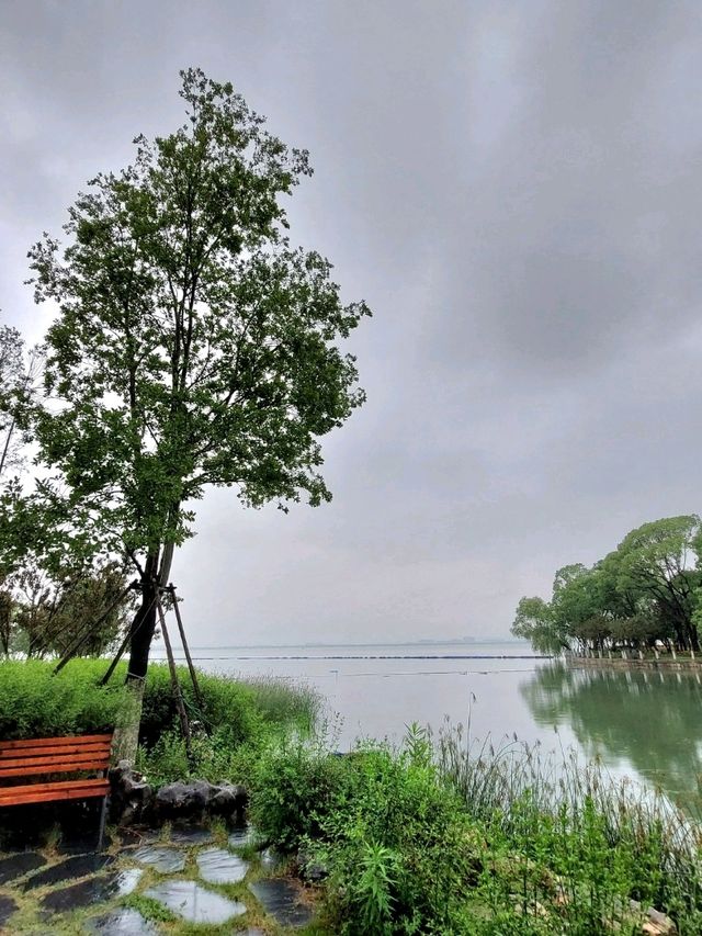 🌸 《夢回紅樓・上海大觀園》