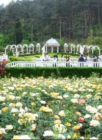 貴陽登高雲山 | 寶藏公園遊玩