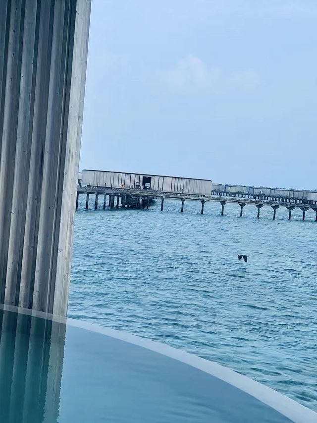 抵達馬爾代夫印象｜一島一世界的極致隱奢