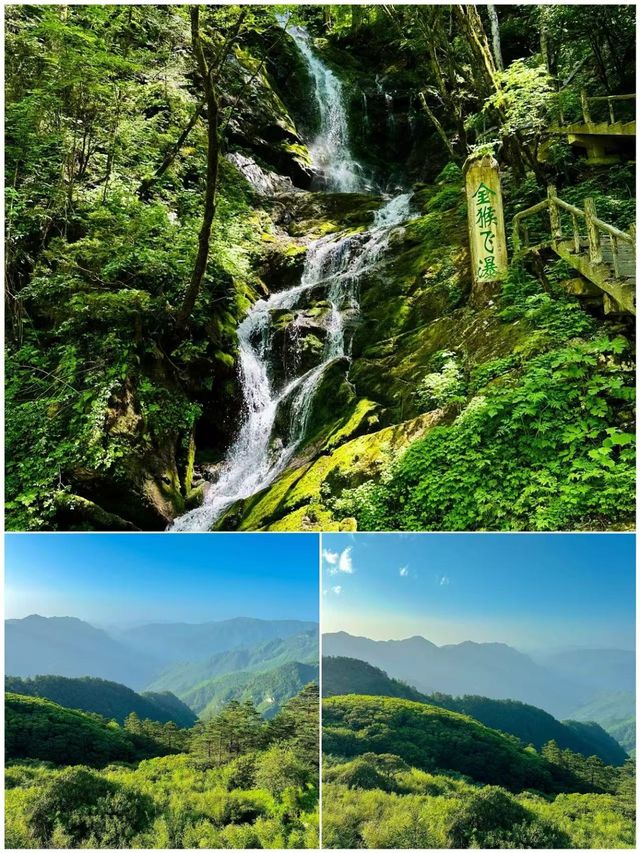 啱啱從神農架返嚟，講啲真心話
