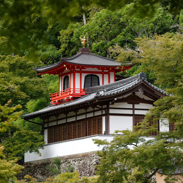 大阪隱藏版寶藏地✨箕面公園：瀑布、古寺與森林的完美邂逅