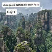 Detailed 2 Day (of 4) Itinerary for Zhangjiajie - Zhangjiajie National Forest Park