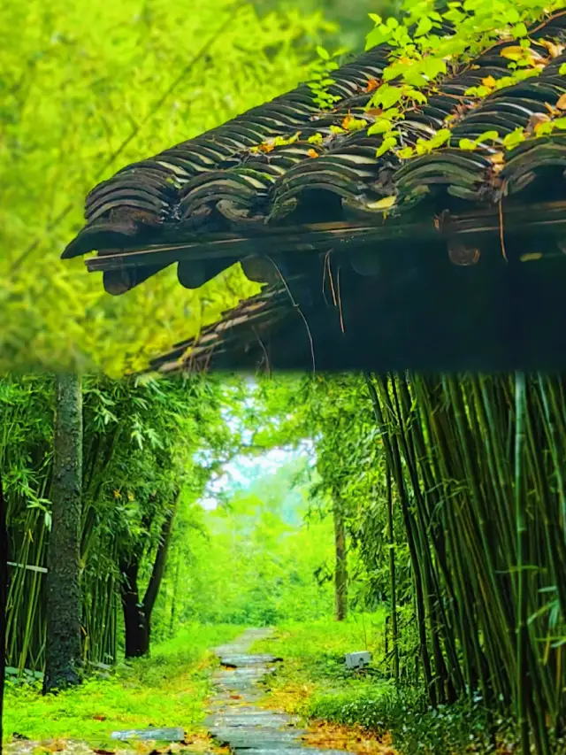 After three days in Hangzhou, my spending habits were completely transformed!