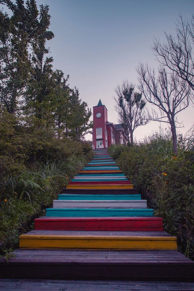 與星空的溫柔對視
