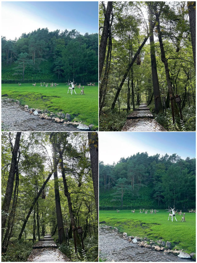 7-8月小預算旅行，呢個城市最啱！