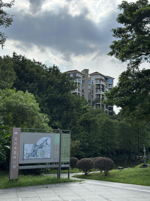 Lychee Park (Lizhi Gongyuan) – Shenzhen’s Urban Oasis Where Tech Titans Escape! 🌳🏙️