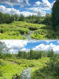七月炎夏出走計劃！！去22°C大興安嶺森林撒野