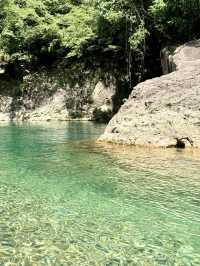 江浙滬淡竹玻璃水夏日玩水寶藏地！