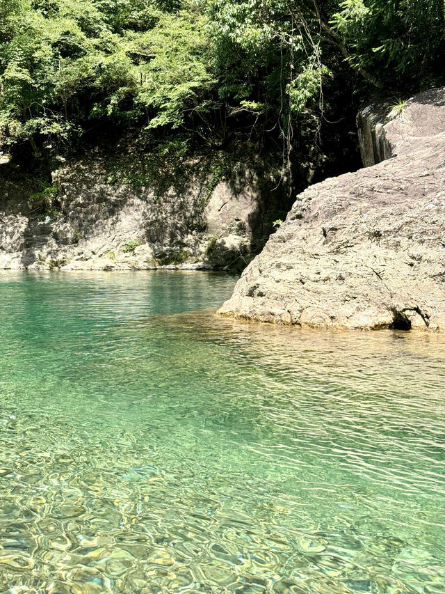 江浙滬淡竹玻璃水夏日玩水寶藏地！