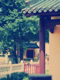 中国・陝西省隠れた名刹！太華古寺の魅力とおすすめガイド】​​