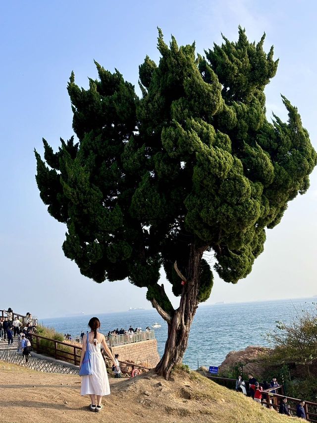 來青島！千祈唔好錯過嘅寶藏打卡位！！