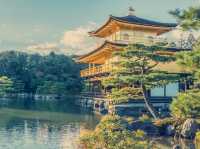 京都絕美地標！大阪到金閣寺一日遊親身體驗】**    