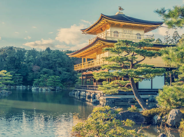 京都絕美地標！大阪到金閣寺一日遊親身體驗】**    