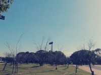大阪隱世綠洲！長居公園沉浸式體驗全記錄】**  