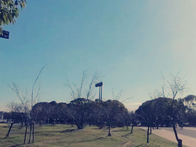 大阪隱世綠洲！長居公園沉浸式體驗全記錄】**  