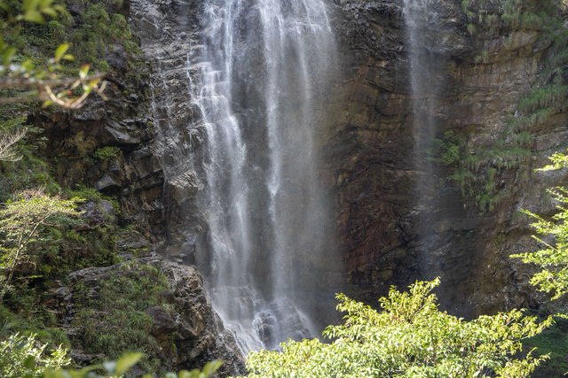 聽著瀑布聲拍照！廬山呢處「白噪音背景板」治癒一切