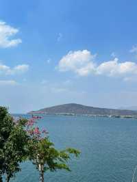 洱海嘅風景真係好靚