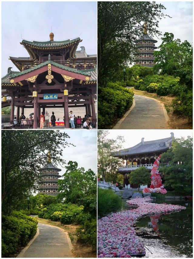 洛陽已返，講下我嘅真實感受
