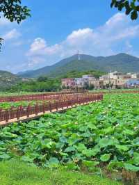 陽江東平一日遊海景房住宿攻略