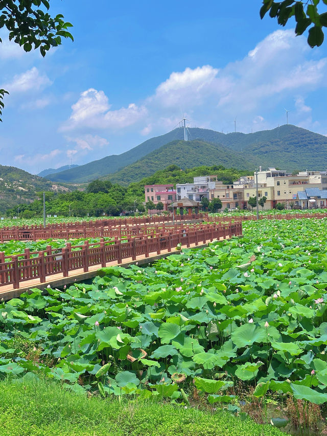 陽江東平一日遊海景房住宿攻略