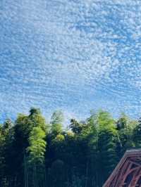 【中國·宜賓|必打卡攻略】酒香竹海·古韻石林，解鎖川南小城の寶藏玩法！🍶🌿